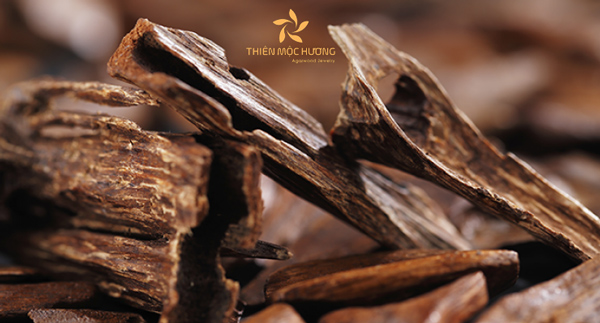 Trầm Hương là gì?