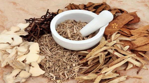 Trầm hương là dược liệu quý giá