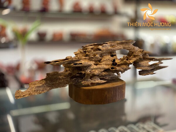 Trầm hương tốc kiến là gì? 