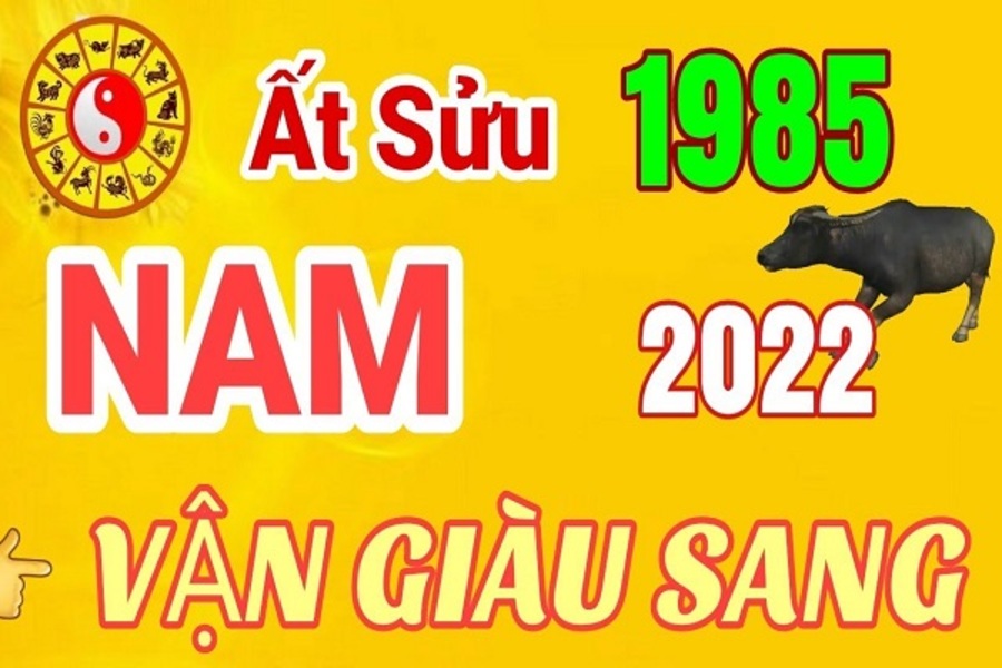 tu-vi-at-suu-1985-2 Nam mạng Ất Sửu thường có vẻ ngoài khá nhút nhát và điềm tĩnh nhưng ẩn chứa bên trong một trái tim ấm áp.