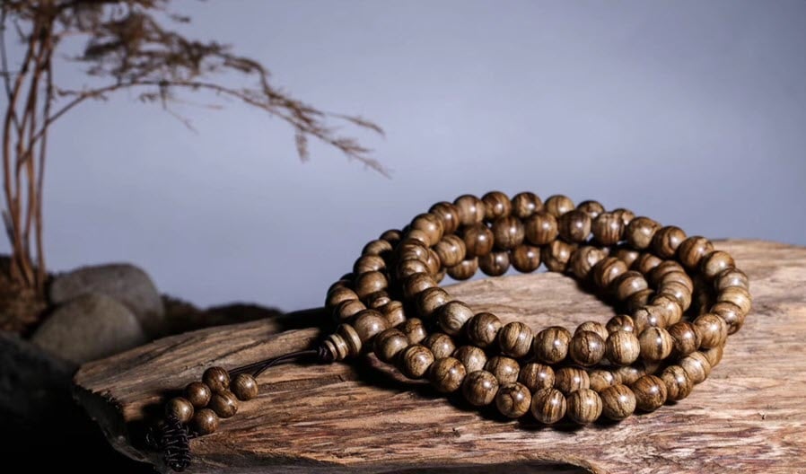 Tử vi Bính Tý 1996