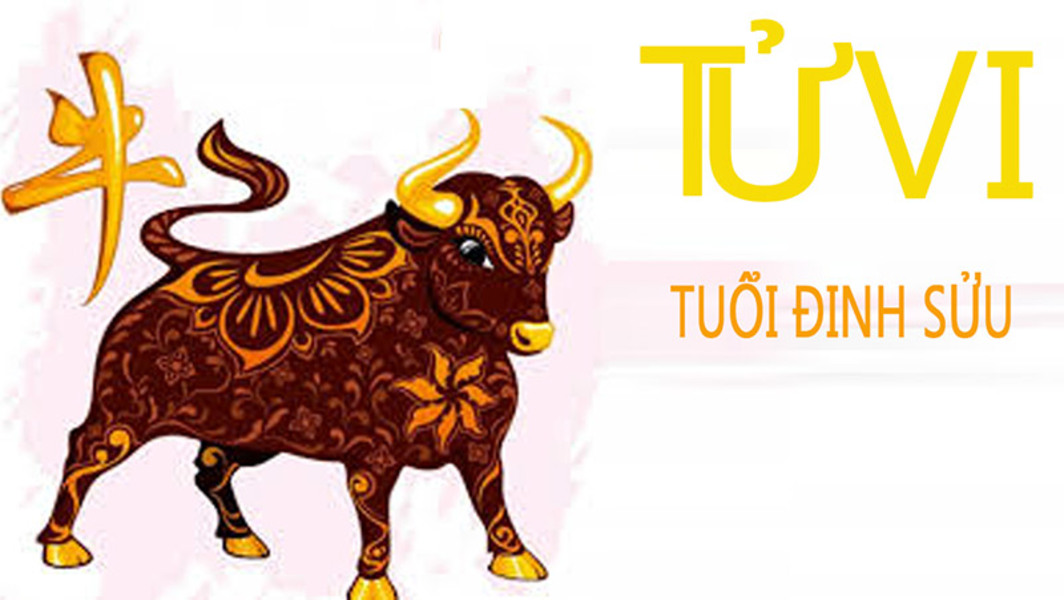 tu-vi-dinh-suu-1997-2-2 Diễn biến từng năm của Nam mạng – Tử vi Đinh Sửu 1997