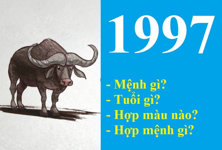 tử vi Đinh Sửu 1997 nữ mạng