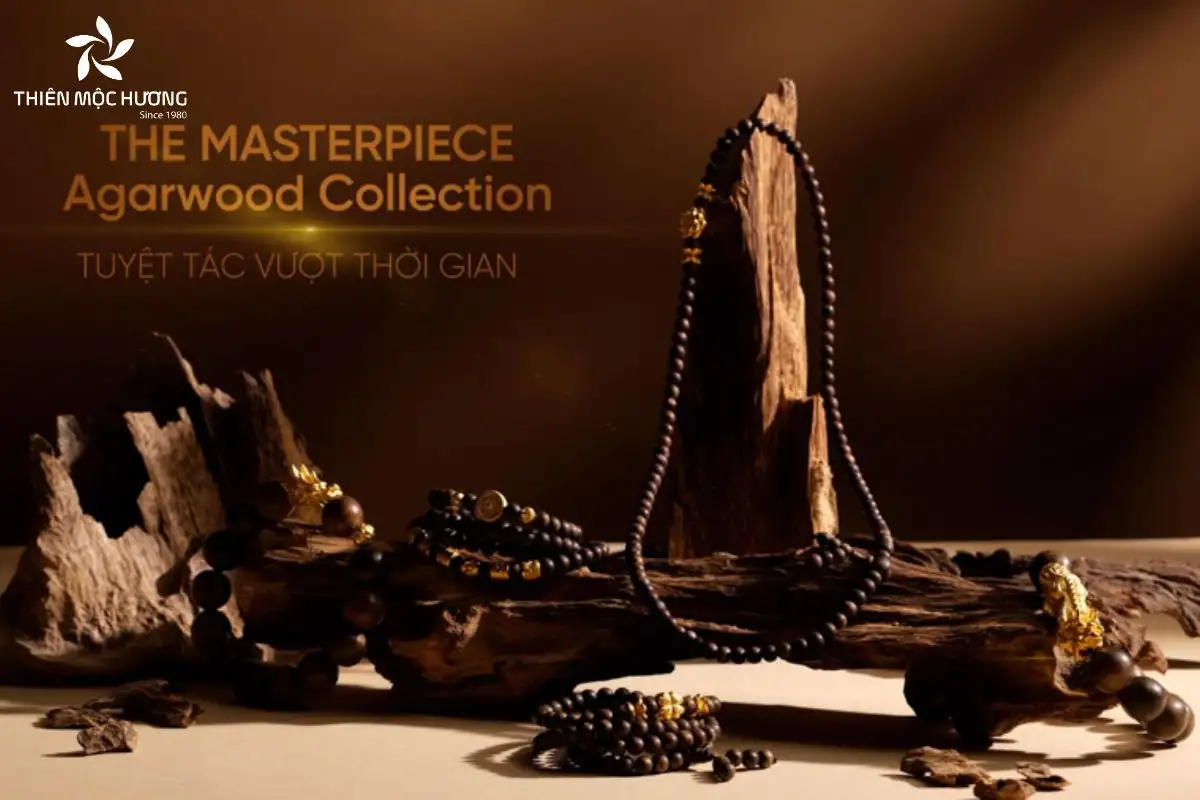 Để hiểu rõ tác dụng của trầm hương trong phong thủy, trước tiên cần hiểu nguồn gốc năng lượng đặc biệt của loại vật phẩm này