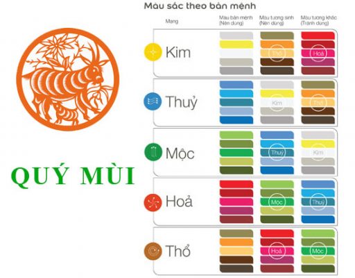 Xem mạng sinh năm 2003 hợp với màu nào?