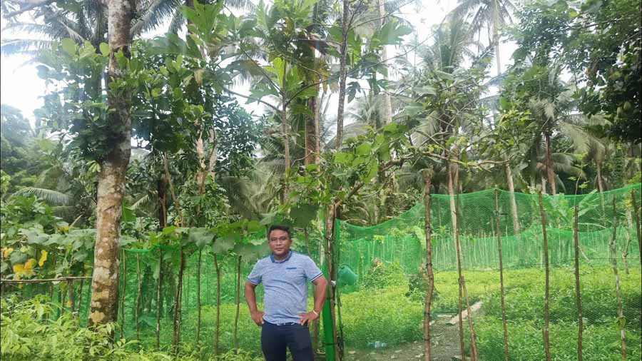 xuat-xu-cua-tram-huong-philippines-1 xuat-xu-cua-tram-huong-philippines