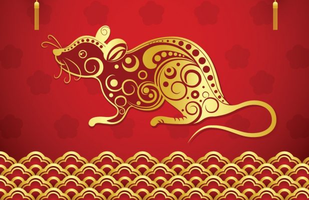 z2603281297985_59bbb5047bd4fbf21c7fe1ae706a213c-617x400-1 Tuổi tý trăm năm 2021